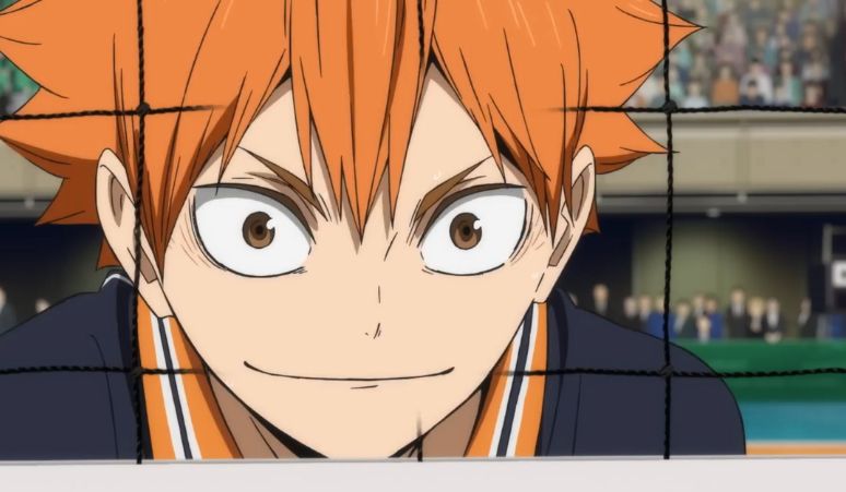 profile-hinata-shoyo-di-anime-haikyuu