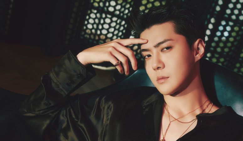 Profil-dan-Fakta-Tentang-Sehun-EXO-Maknae-on-Top-Kesayangan-EXO-L